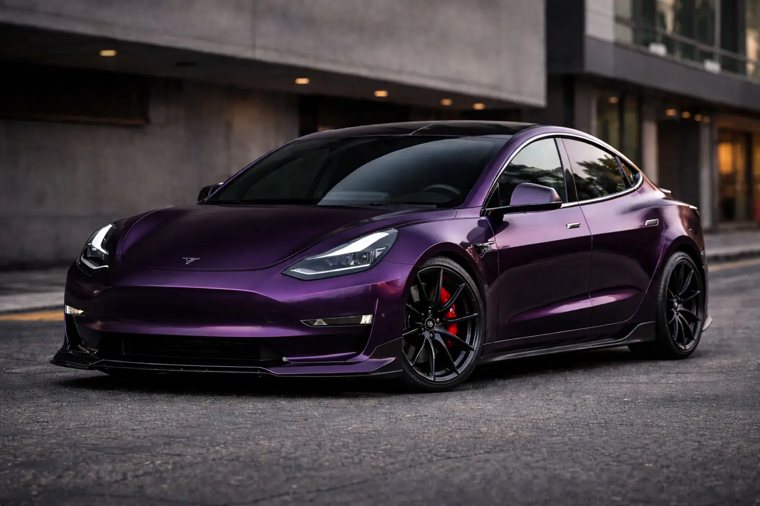 Die Anziehungskraft von Midnight Purple erkunden